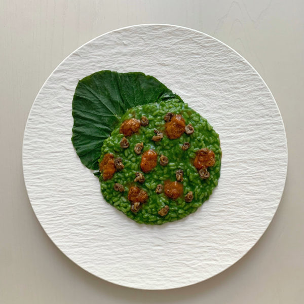 Riso Rosa Marchetti, tenerumi, lumache e ricci di mare